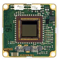 Cmara board de 1,3 Megapxeles