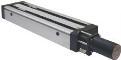 Guia lineal motorizada 8MT295